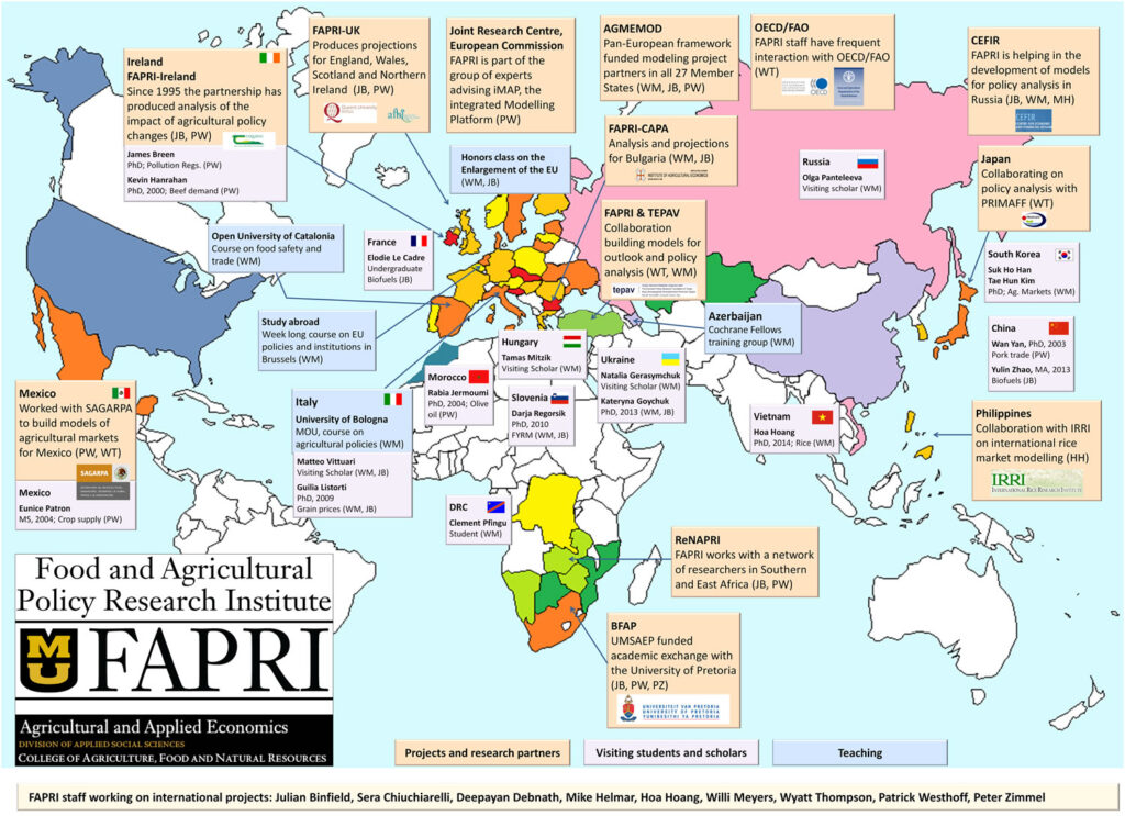 International Projects