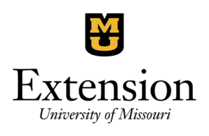 Extension 300x195 1